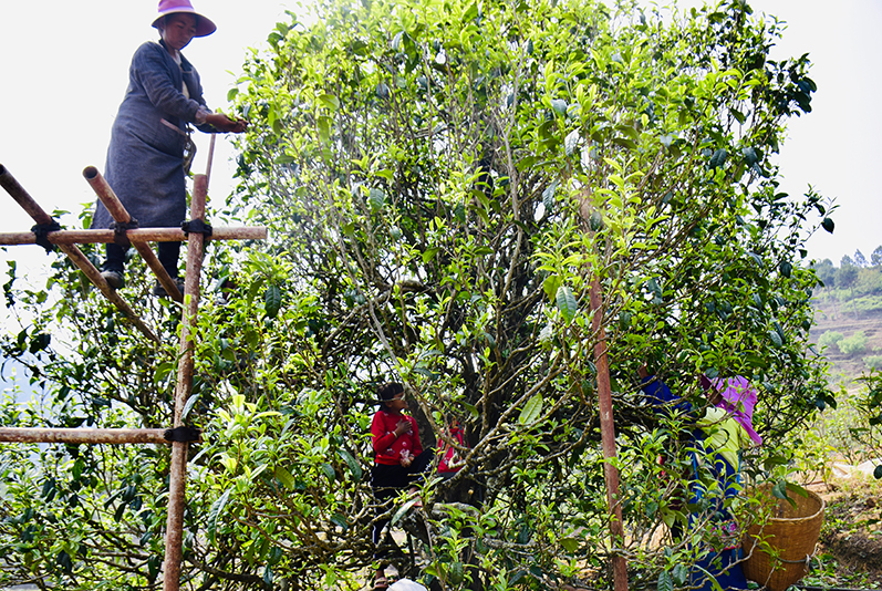 1607003272818537.jpg 1.jpg